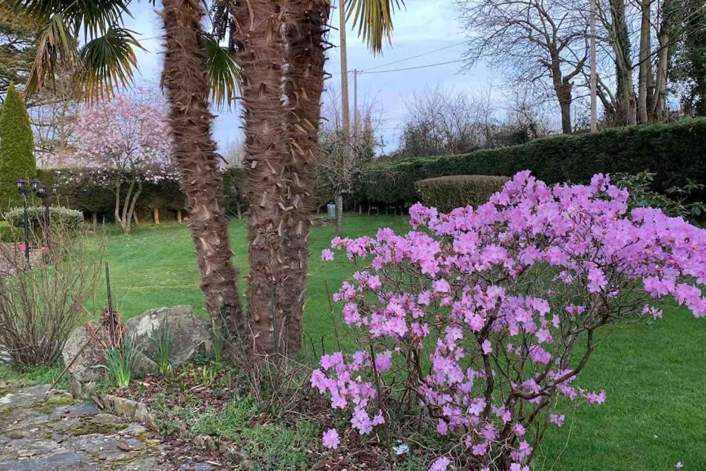 Le Nalousie Villa Livry  Buitenkant foto